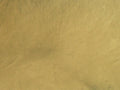 Metallic Mica Powder Pigment — Blonde