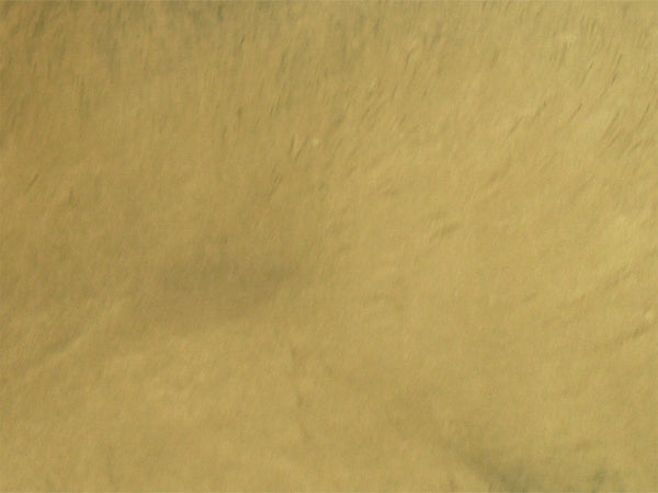 Metallic Mica Powder Pigment — Blonde