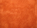 Metallic Mica Powder Pigment — Burnt Orange