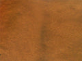 Metallic Mica Powder Pigment — Caramel