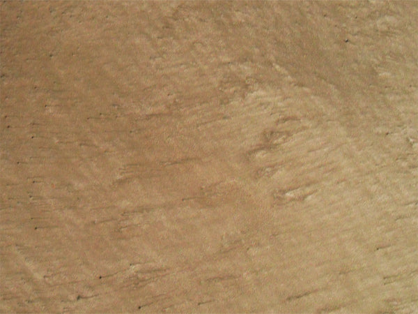 Metallic Mica Powder Pigment — Champagne