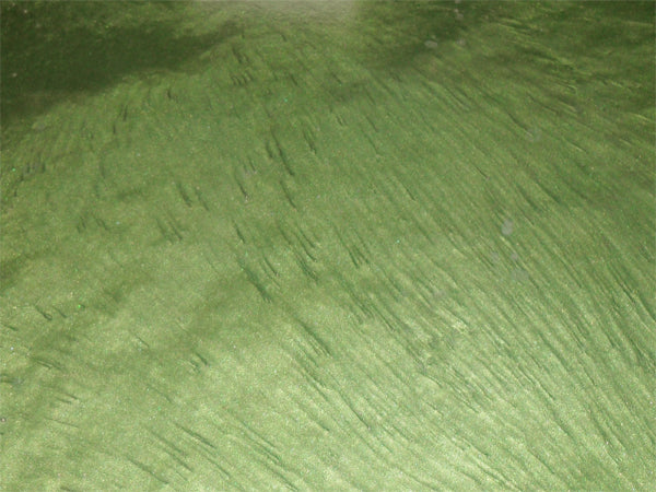 Metallic Mica Powder Pigment — Moss Green