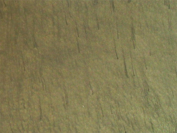 Metallic Mica Powder Pigment — Olive Green