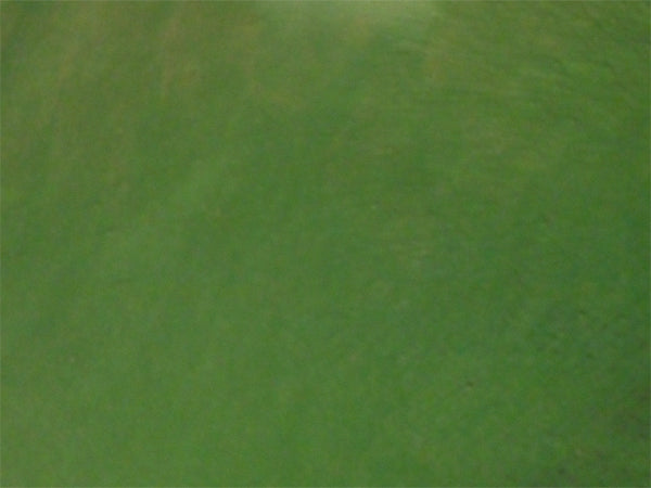 Metallic Mica Powder Pigment — Spring Green