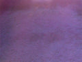 Metallic Mica Powder Pigment — Violet